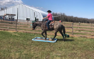 Steel Horse Barn farmer horse riding