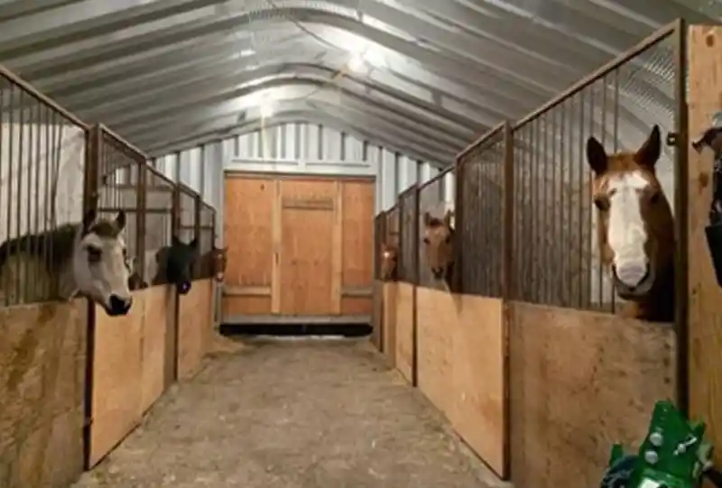 metal horse barn