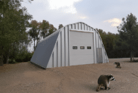 Pest-Resistant Steel Buildings